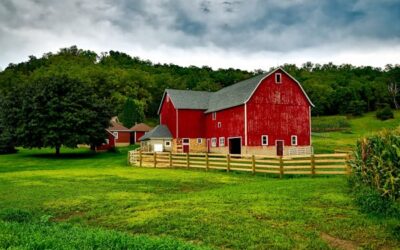 Ulaganja u preradu poljoprivrednih proizvoda – Natječaj s potporama do 3 milijuna eura!